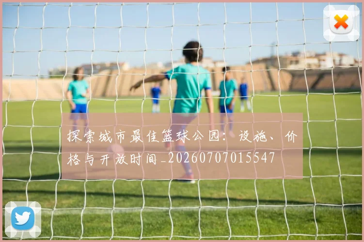 探索城市最佳篮球公园：设施、价格与开放时间_20260707015547